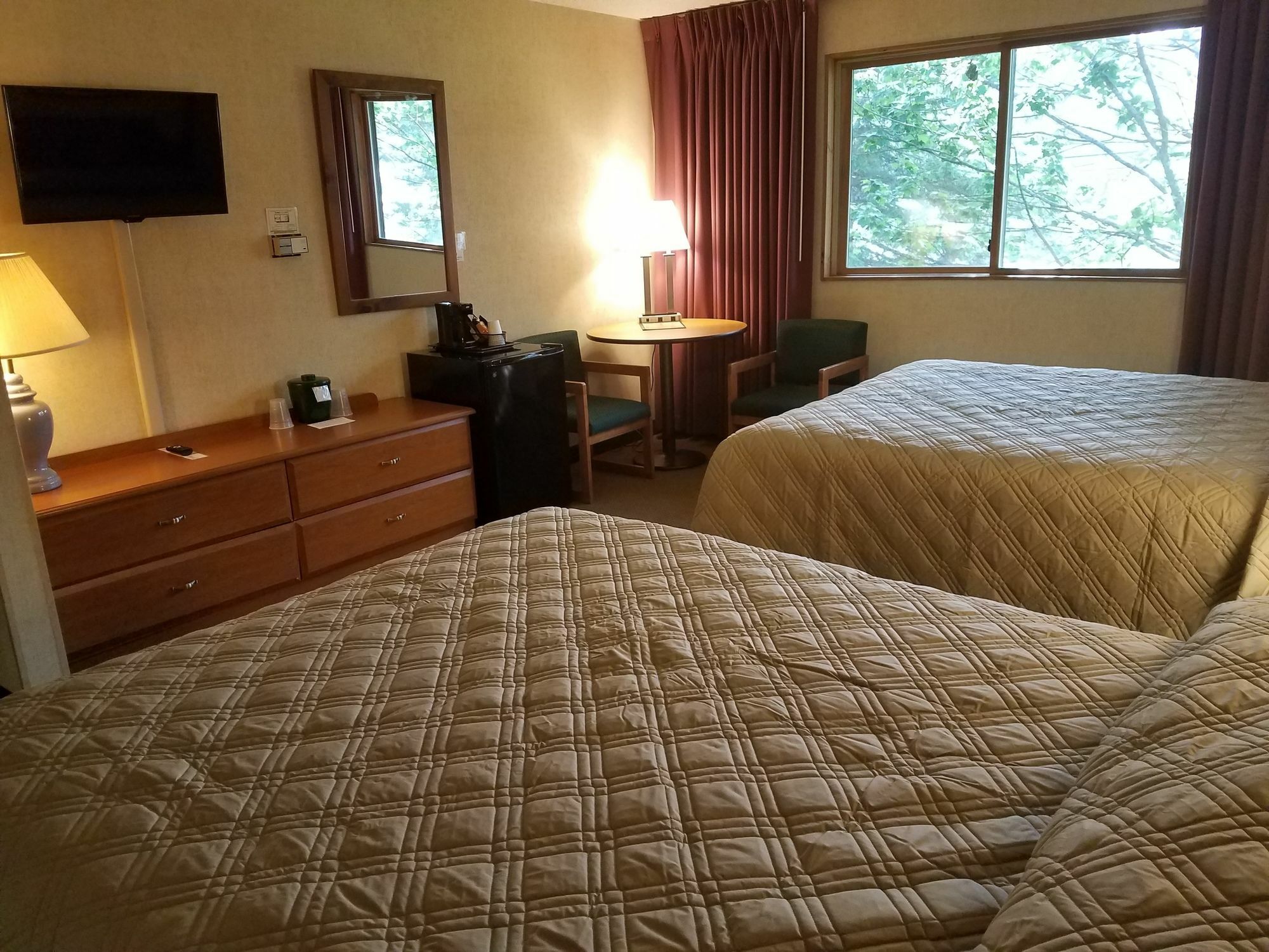 Hotel Commodores 3*